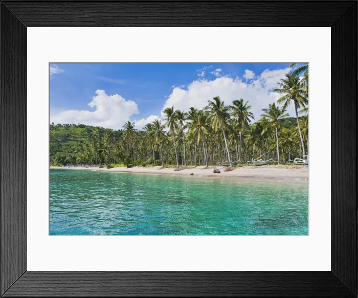 Framed Print : Palm trees, Nippah Beach, Lombok, West Nusa Tenggara, Indonesia, Southeast Asia, Asia Framed Print : Palm trees, Nippah Beach, Lombok, West Nusa Tenggara, Indonesia, Southeast Asia, Asia