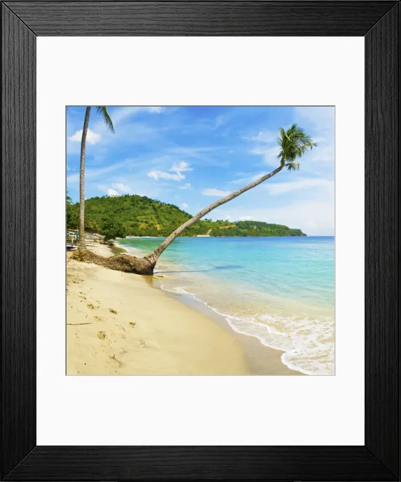 Framed Print : Overhanging palm tree, Nippah Beach, Lombok, West Nusa Tenggara, Indonesia, Southeast Asia, Asia Framed Print : Overhanging palm tree, Nippah Beach, Lombok, West Nusa Tenggara, Indonesia, Southeast Asia, Asia