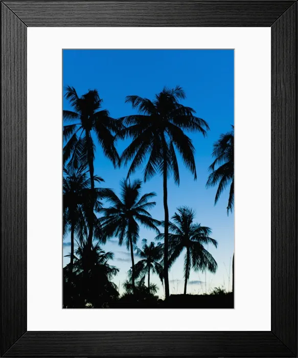 Framed Print : Palm trees silhouetted at night, Sengiggi Beach, Lombok, Indonesia, Southeast Asia, Asia Framed Print : Palm trees silhouetted at night, Sengiggi Beach, Lombok, Indonesia, Southeast Asia, Asia