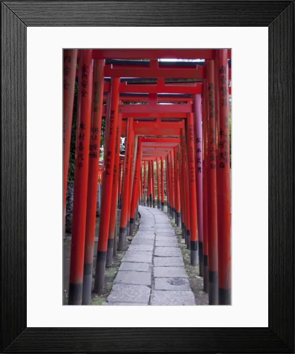 Framed Print : Torii at the Nezu-jinja Shrine, Tokyo, Japan, Asia Framed Print : Torii at the Nezu-jinja Shrine, Tokyo, Japan, Asia