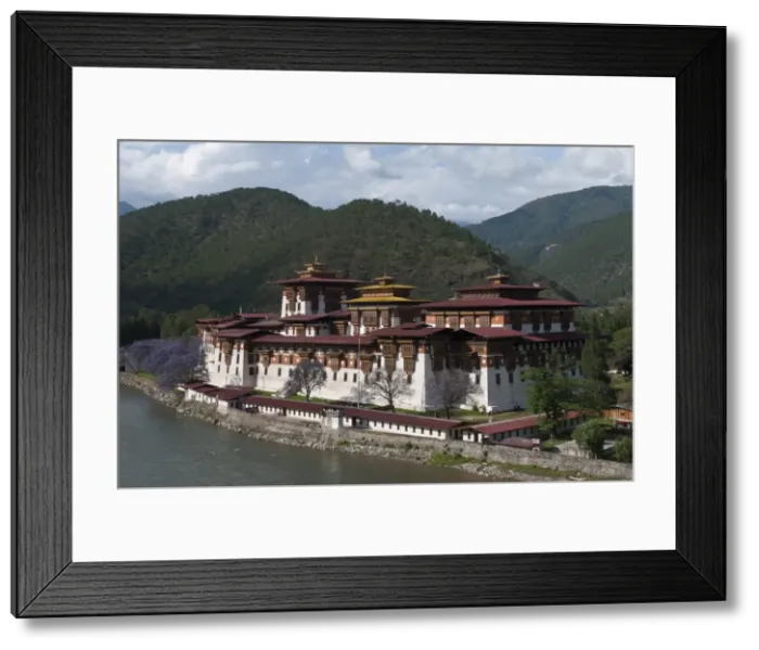 Framed Print : View of the Dzong in Punakha, Bhutan, Asia Framed Print : View of the Dzong in Punakha, Bhutan, Asia
