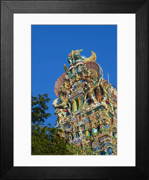 Framed Print : Sri Meenakshi temple, Madurai, Tamil Nadu, India, Asia Framed Print : Sri Meenakshi temple, Madurai, Tamil Nadu, India, Asia