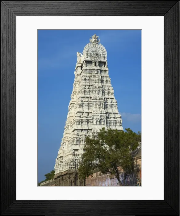 Framed Print : Arunachaleswar temple, Tiruvannamalai, Tamil Nadu, India, Asia Framed Print : Arunachaleswar temple, Tiruvannamalai, Tamil Nadu, India, Asia