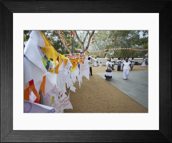 Framed Print : People praying at Sri Maha Bodhi (sacred bodhi tree), Anuradhapura, UNESCO World Heritage Site, North Central Province, Sri Lanka, Asia Framed Print : People praying at Sri Maha Bodhi (sacred bodhi tree), Anuradhapura, UNESCO World Heritage Site, North Central Province, Sri Lanka, Asia