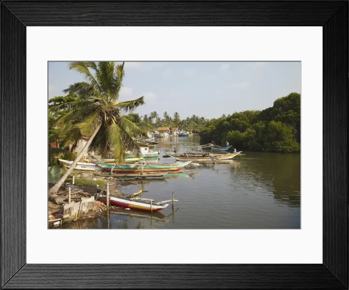 Framed Print : Boats in Negombo Lagoon, Negombo, Western Province, Sri Lanka, Asia Framed Print : Boats in Negombo Lagoon, Negombo, Western Province, Sri Lanka, Asia