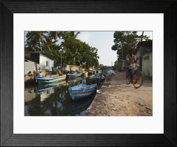 Framed Print : Fishing boats along Hamilton Canal, an old Dutch canal, Negombo, Western Province, Sri Lanka, Asia Framed Print : Fishing boats along Hamilton Canal, an old Dutch canal, Negombo, Western Province, Sri Lanka, Asia