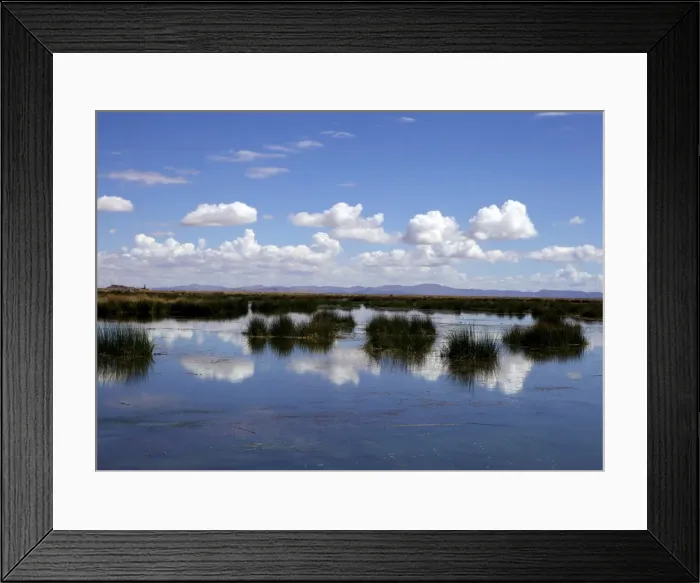 Framed Print : Lake Titicaca, peru, peruvian, south america, south american, latin america, latin american South America Framed Print : Lake Titicaca, peru, peruvian, south america, south american, latin america, latin american South America