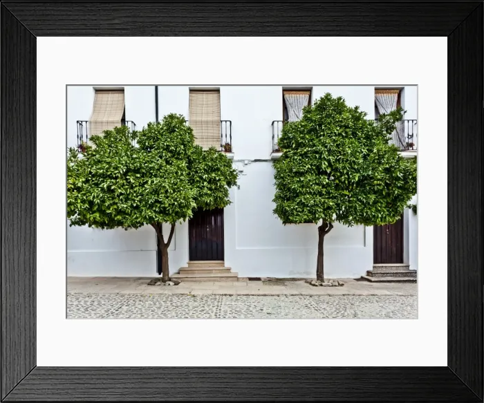 Framed Print : Orange trees in Ronda street, Ronda, Andalucia, Spain, Europe Framed Print : Orange trees in Ronda street, Ronda, Andalucia, Spain, Europe
