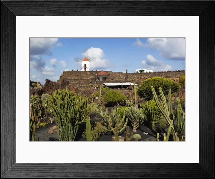 Framed Print : Jardin de Cactus (Cactus Garden), Guatiza, Lanzarote, Canary Islands, Spain Framed Print : Jardin de Cactus (Cactus Garden), Guatiza, Lanzarote, Canary Islands, Spain