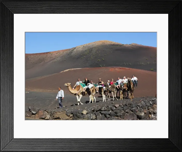 Framed Print : Dromedary ride on slopes of Timanfaya mountain, Timanfaya National Park, Lanzarote, Canary Islands, Spain, Europe Framed Print : Dromedary ride on slopes of Timanfaya mountain, Timanfaya National Park, Lanzarote, Canary Islands, Spain, Europe