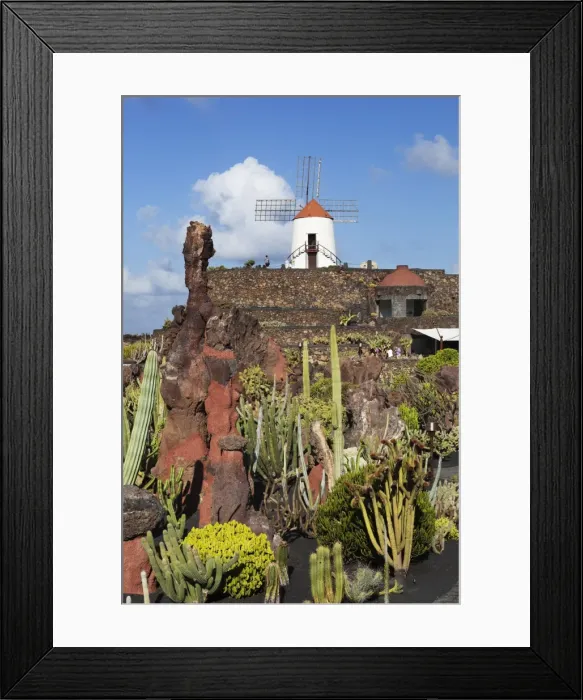 Framed Print : Jardin de Cactus (Cactus Garden), Guatiza, Lanzarote, Canary Islands, Spain Framed Print : Jardin de Cactus (Cactus Garden), Guatiza, Lanzarote, Canary Islands, Spain