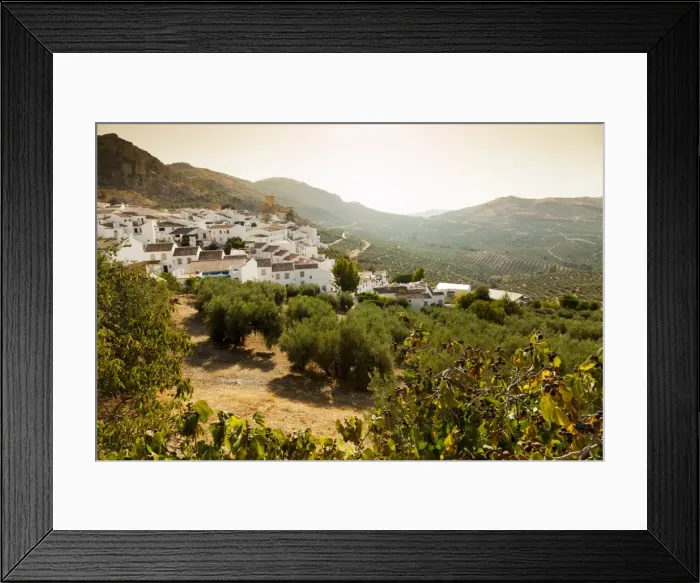 Framed Print : Olive groves, Zuheros, near Cordoba, Andalucia, Spain, Europe Framed Print : Olive groves, Zuheros, near Cordoba, Andalucia, Spain, Europe