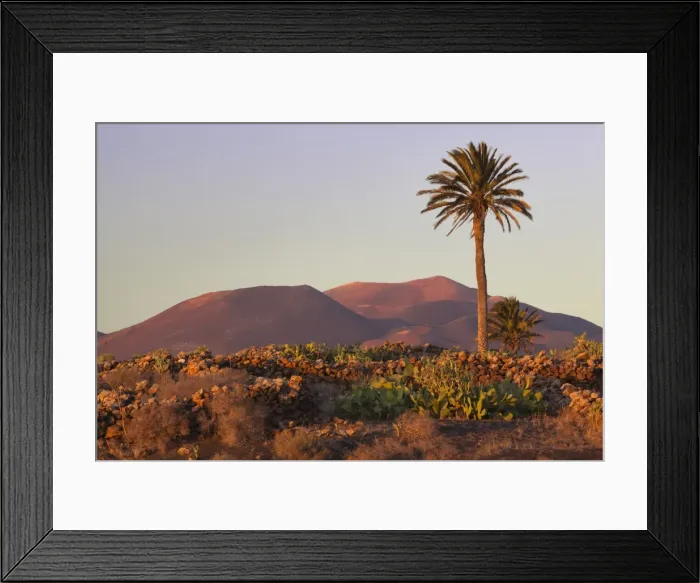 Framed Print : Parque Nacional de Timanfaya (Timanfaya National Park) with Montanas del Fuego, Yaiza, Lanzarote, Canary Islands, Spain Framed Print : Parque Nacional de Timanfaya (Timanfaya National Park) with Montanas del Fuego, Yaiza, Lanzarote, Canary Islands, Spain