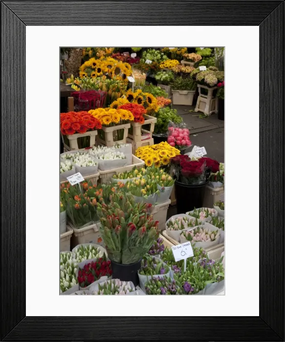 Framed Print : Flower stall, Bloemenmarkt, Amsterdam, Holland, Europe Framed Print : Flower stall, Bloemenmarkt, Amsterdam, Holland, Europe