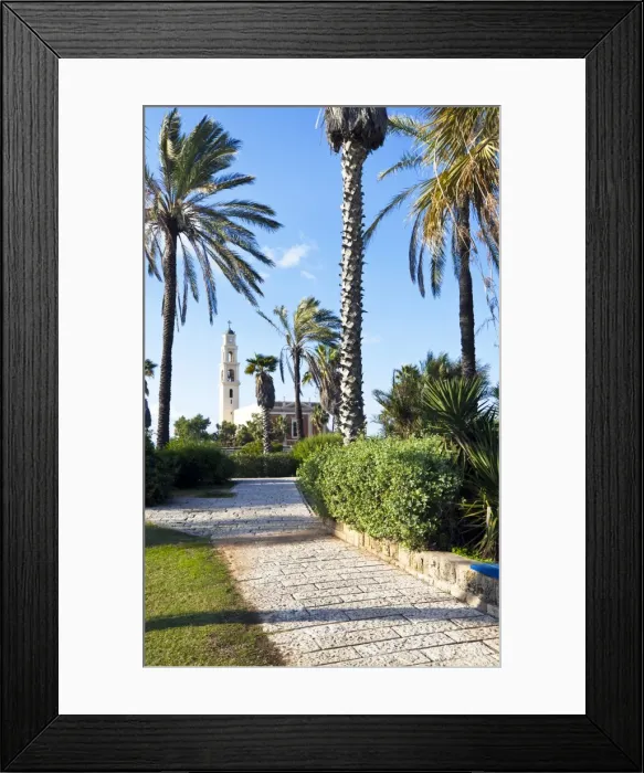 Framed Print : HaPisgah Gardens (The Summit Garden), Jaffa, Tel Aviv, Israel, Middle East Framed Print : HaPisgah Gardens (The Summit Garden), Jaffa, Tel Aviv, Israel, Middle East