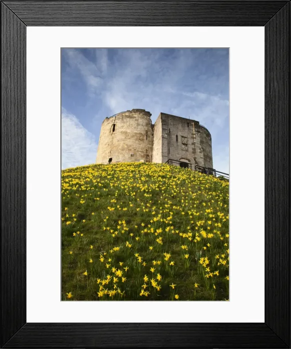 Framed Print : Cliffords Tower, York, Yorkshire, England Framed Print : Cliffords Tower, York, Yorkshire, England