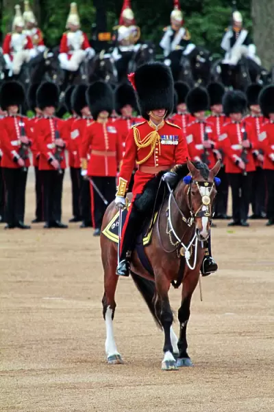 Soldiers at Trooping the Colour 2012, The Queens Birthday Parade, Horse Guards, Whitehall, London, England, United Kingdom, Europe