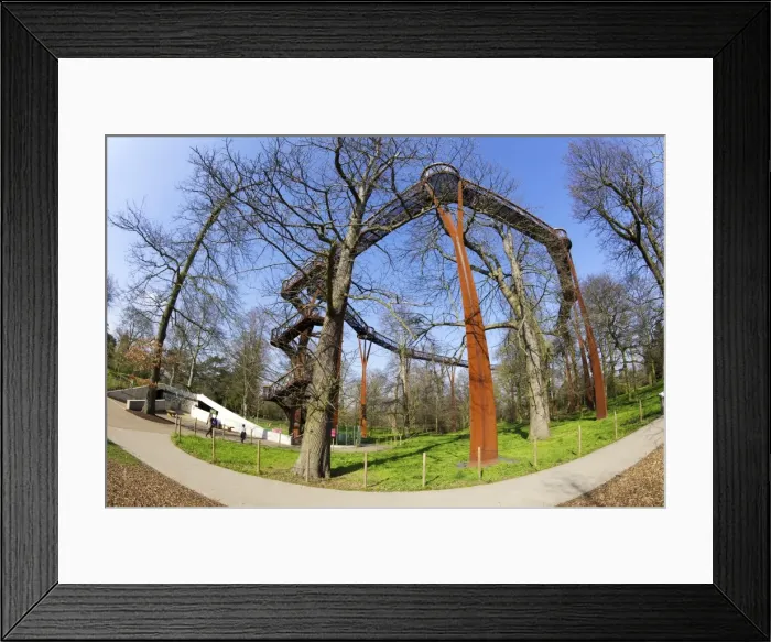 Framed Print : Rhizotron and Xstrata Treetop Walkway, Royal Botanic Gardens, Kew, UNESCO World Heritage Site, London, England, United Kingdom, Europe Framed Print : Rhizotron and Xstrata Treetop Walkway, Royal Botanic Gardens, Kew, UNESCO World Heritage Site, London, England, United Kingdom, Europe