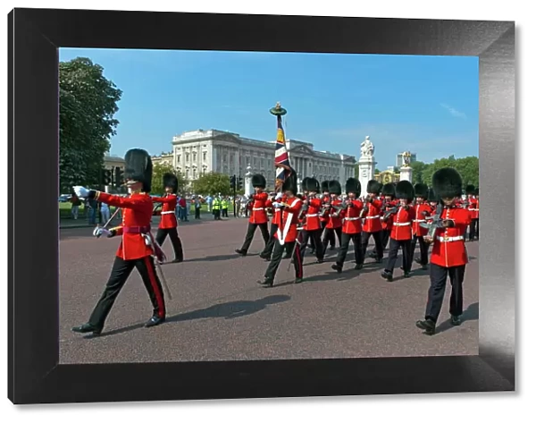 Grenadier Guards march to Wellington Barracks after Changing the Guard ceremony, London, England, United Kingdom, Europe