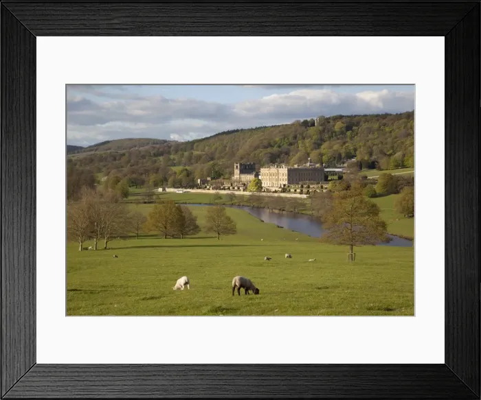 Framed Print : Chatsworth House, Chatsworth Estate, Derbyshire, England, United Kingdom, Europe Framed Print : Chatsworth House, Chatsworth Estate, Derbyshire, England, United Kingdom, Europe