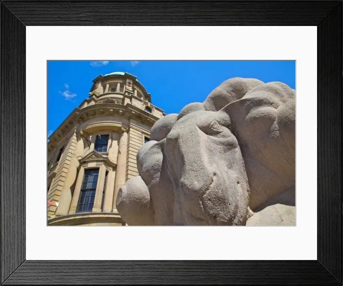 Framed Print : Stone ram, Derby, Derbyshire, England, United Kingdom, Europe Framed Print : Stone ram, Derby, Derbyshire, England, United Kingdom, Europe