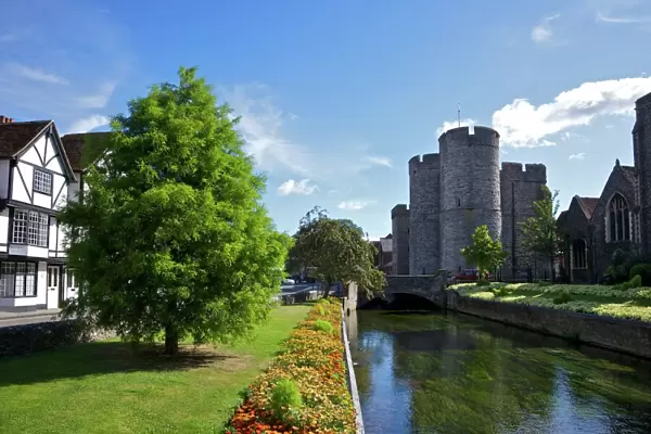 Westgate medieval gatehouse and gardens, with bridge over the River Stour, Canterbury, Kent, England, United Kingdom, Europe
