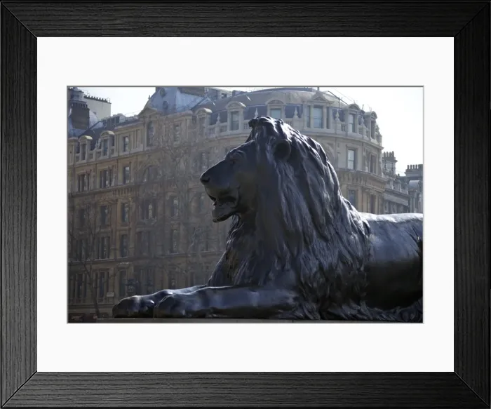 Framed Print : Bronze lion statue by Sir Edwin Landseer, Trafalgar Square, London, England, United Kingdom, Europe Framed Print : Bronze lion statue by Sir Edwin Landseer, Trafalgar Square, London, England, United Kingdom, Europe