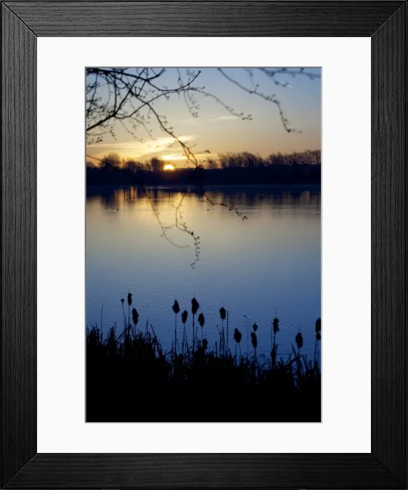 Framed Print : Sunrise over Kingsmill Reservoir, Sutton in Ashfield, Nottinghamshire, England, United Kingdom, Europe Framed Print : Sunrise over Kingsmill Reservoir, Sutton in Ashfield, Nottinghamshire, England, United Kingdom, Europe