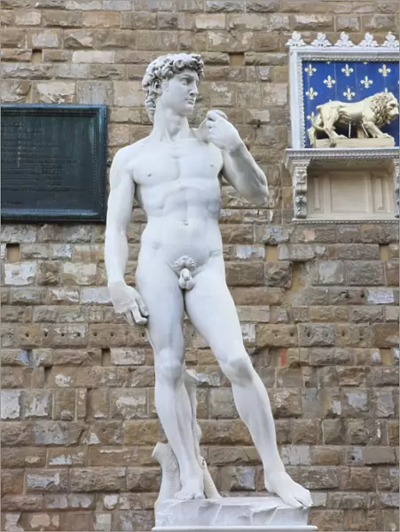 Statue of David, Piazza della Signoria, Florence, UNESCO World Heritage Site, Tuscany, Italy, Europe
