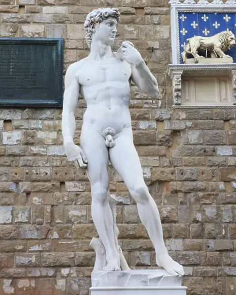 Statue of David, Piazza della Signoria, Florence, UNESCO World Heritage Site, Tuscany, Italy, Europe