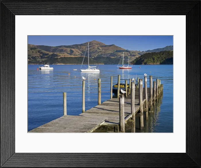 Framed Print : Dalys Wharf in French Bay, Akaroa, Banks Peninsula, Canterbury District, South Island, New Zealand, Pacific Framed Print : Dalys Wharf in French Bay, Akaroa, Banks Peninsula, Canterbury District, South Island, New Zealand, Pacific