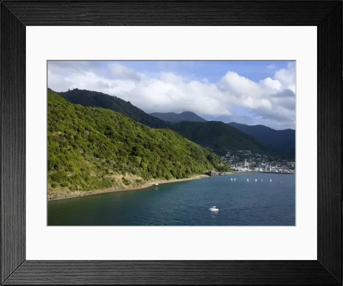 Framed Print : Queen Charlotte Sound, Picton, South Island, New Zealand, Pacific Framed Print : Queen Charlotte Sound, Picton, South Island, New Zealand, Pacific