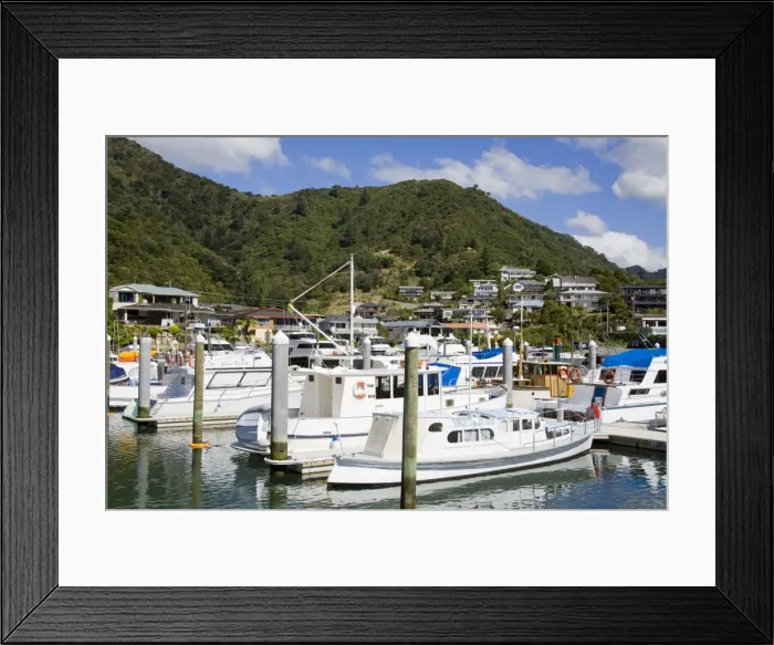 Framed Print : Picton Harbour Marina, Picton, South Island, New Zealand, Pacific Framed Print : Picton Harbour Marina, Picton, South Island, New Zealand, Pacific