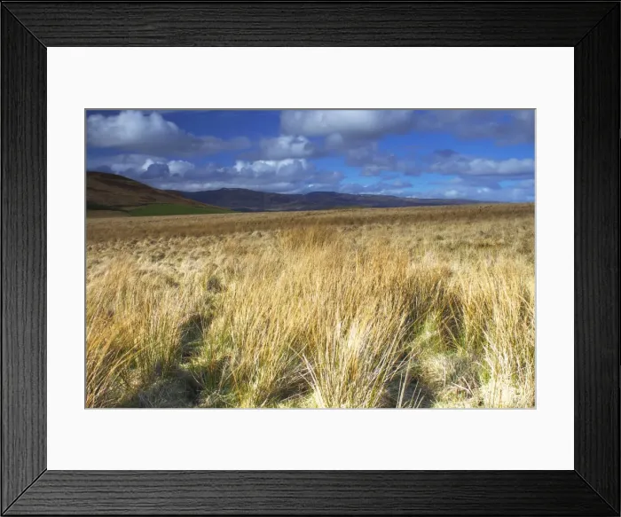 Framed Print : Ben Clach near Crieff, Perthshire, Scotland, United Kingdom, Europe Framed Print : Ben Clach near Crieff, Perthshire, Scotland, United Kingdom, Europe