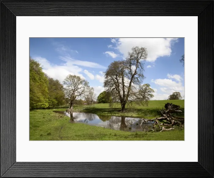 Framed Print : Spring trees and rainwater pond at Jacob Smith Park, Knaresborough, North Yorkshire, England, United Kingdom, Europe Framed Print : Spring trees and rainwater pond at Jacob Smith Park, Knaresborough, North Yorkshire, England, United Kingdom, Europe