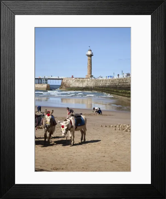 Framed Print : Donkeys on Whitby Sands, Whitby, North Yorkshire, Yorkshire, England, United Kingdom, Europe Framed Print : Donkeys on Whitby Sands, Whitby, North Yorkshire, Yorkshire, England, United Kingdom, Europe