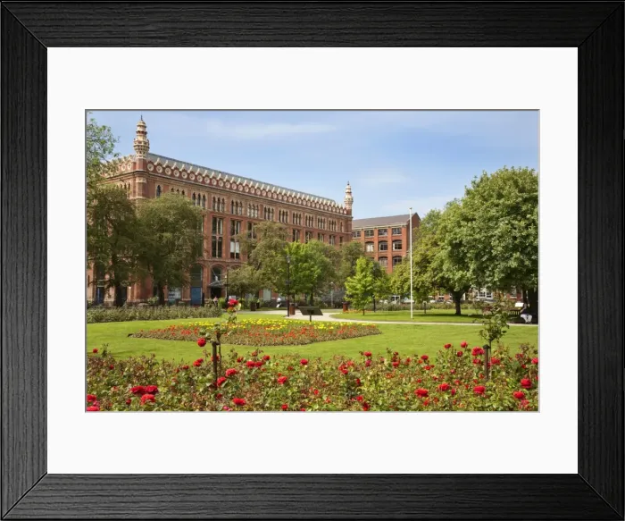 Framed Print : Roses in bloom in Park Square, Leeds, West Yorkshire, Yorkshire, England, United Kingdom, Europe Framed Print : Roses in bloom in Park Square, Leeds, West Yorkshire, Yorkshire, England, United Kingdom, Europe