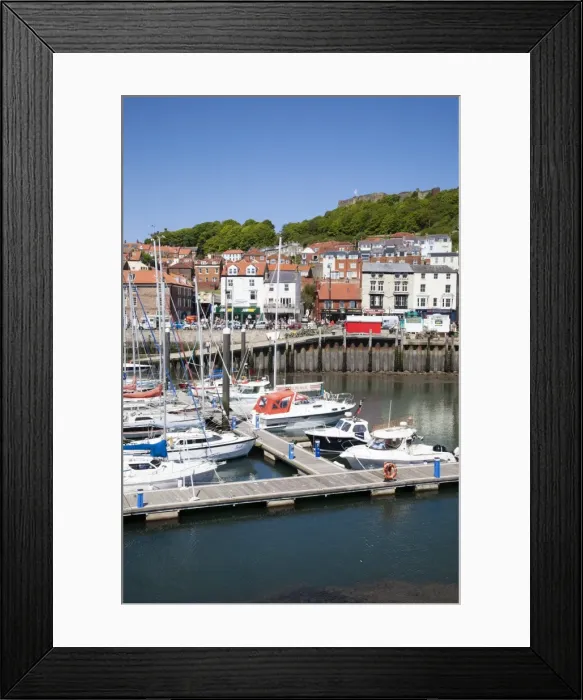 Framed Print : Yachts in the Harbour, Scarborough, North Yorkshire, Yorkshire, England, United Kingdom, Europe Framed Print : Yachts in the Harbour, Scarborough, North Yorkshire, Yorkshire, England, United Kingdom, Europe