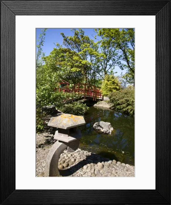 Framed Print : Japanese style garden on the Island at Peasholm Park, Scarborough, North Yorkshire, Yorkshire, England, United Kingdom, Europe Framed Print : Japanese style garden on the Island at Peasholm Park, Scarborough, North Yorkshire, Yorkshire, England, United Kingdom, Europe