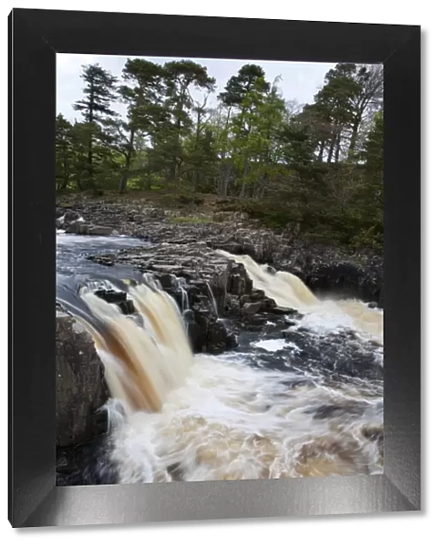 Low Force Waterfall in Upper Teesdale, County Durham, England, United Kingdom, Europe