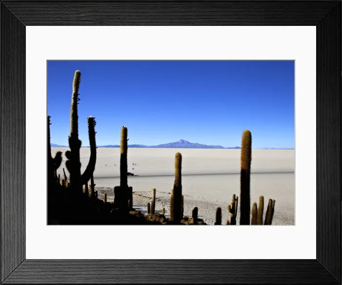 Framed Print : Cacti on Isla de los Pescadores, Volcan Tunupa and the salt flats, Salar de Uyuni, Southwest Highlands, Bolivia, South America Framed Print : Cacti on Isla de los Pescadores, Volcan Tunupa and the salt flats, Salar de Uyuni, Southwest Highlands, Bolivia, South America