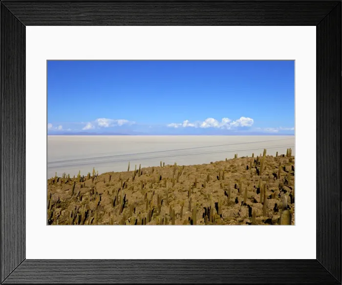 Framed Print : Cacti on Isla de los Pescadores and the salt flats, Salar de Uyuni, Southwest Highlands, Bolivia, South America Framed Print : Cacti on Isla de los Pescadores and the salt flats, Salar de Uyuni, Southwest Highlands, Bolivia, South America