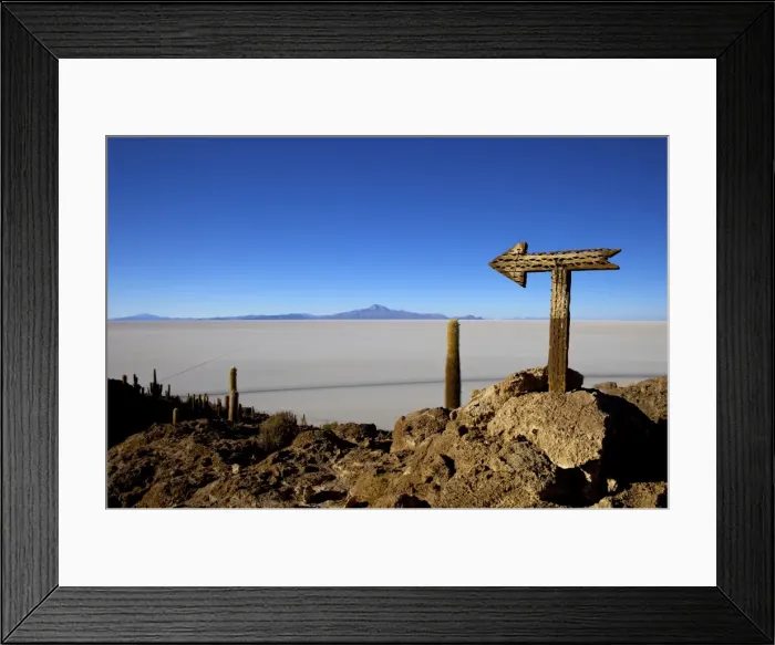 Framed Print : Cactus arrow on Isla de los Pescadores, Volcan Tunupa and the salt flats, Salar de Uyuni, Southwest Highlands, Bolivia, South America Framed Print : Cactus arrow on Isla de los Pescadores, Volcan Tunupa and the salt flats, Salar de Uyuni, Southwest Highlands, Bolivia, South America