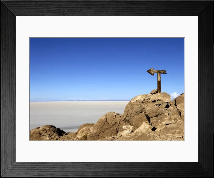 Framed Print : Cactus arrow on Isla de los Pescadores and the salt flats, Salar de Uyuni, Southwest Highlands, Bolivia, South America Framed Print : Cactus arrow on Isla de los Pescadores and the salt flats, Salar de Uyuni, Southwest Highlands, Bolivia, South America