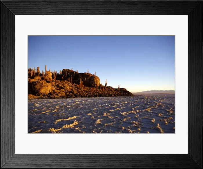 Framed Print : Cacti at sunset on Isla de los Pescadores and salt flats, Salar de Uyuni, Southwest Highlands, Bolivia, South America Framed Print : Cacti at sunset on Isla de los Pescadores and salt flats, Salar de Uyuni, Southwest Highlands, Bolivia, South America