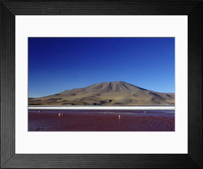 Framed Print : Flamingos on Laguna Colorada (Red Lagoon), Eduardo Avaroa Andean Fauna National Reserve, Southwest Highlands, Bolivia, South America Framed Print : Flamingos on Laguna Colorada (Red Lagoon), Eduardo Avaroa Andean Fauna National Reserve, Southwest Highlands, Bolivia, South America