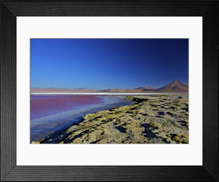 Framed Print : Laguna Colorada (Red Lagoon), a shallow salt lake in the southwest of the altiplano, Eduardo Avaroa Andean Fauna National Reserve, Bolivia, South America Framed Print : Laguna Colorada (Red Lagoon), a shallow salt lake in the southwest of the altiplano, Eduardo Avaroa Andean Fauna National Reserve, Bolivia, South America