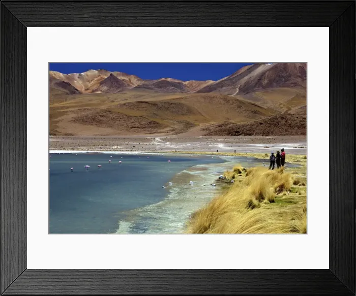 Framed Print : Laguna Canapa, South Lipez, Southwest Highlands, Bolivia, South America Framed Print : Laguna Canapa, South Lipez, Southwest Highlands, Bolivia, South America