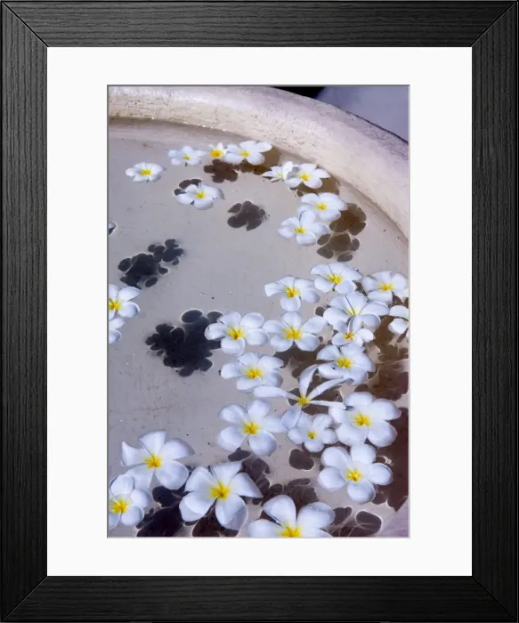 Framed Print : Flower petals in hotel lobby, Goa, India, Asia Framed Print : Flower petals in hotel lobby, Goa, India, Asia