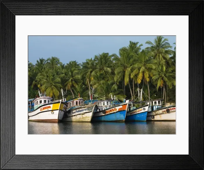 Framed Print : Fishing boats along the Backwaters, near Alappuzha (Alleppey), Kerala, India, Asia Framed Print : Fishing boats along the Backwaters, near Alappuzha (Alleppey), Kerala, India, Asia